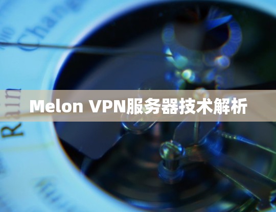 Melon VPN服务器技术解析 Melon VPN服务器技术解析