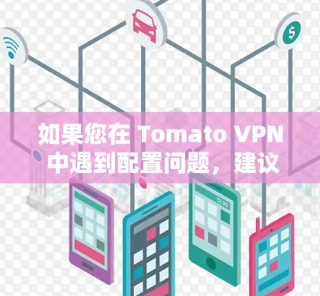 如果您在 Tomato VPN 中遇到配置问题,建议联系 Tomato VPN 的支持团队,以确认是否需要额外的机场节点配置。他们的团队可以为您提供详细的指导和解决方案