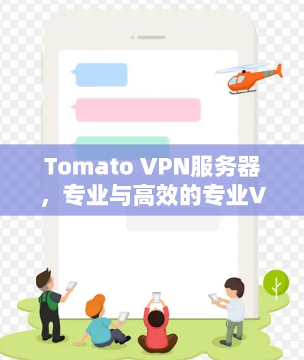 Tomato VPN服务器,专业与高效的专业VPN选择