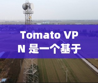 Tomato VPN 是一个基于 OpenVPN 核心架构的 VPN 工具,旨在提供高效可靠的端到端加密通信。以下是对 Tomato VPN 的详细评测