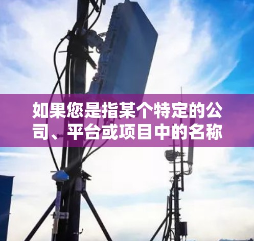 如果您是指某个特定的公司、平台或项目中的名称,可能需要提供更多背景信息,以便提供准确的解决方案。如果您指的是某个特定的VPN服务,建议您提供更多细节,以便进一步帮助您找到合适的网络加速器