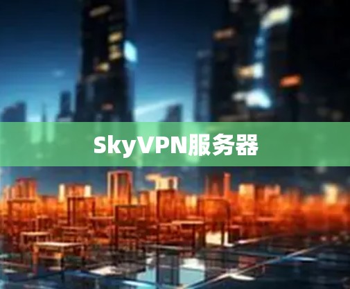 SkyVPN服务器
