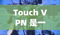 Touch VPN 是一个看起来像是一种VPN软件的界面，但它并不是一个真正的软件，而是通过某种方式伪装成VPN软件。因此，如果你在下载它并运行，可能会遇到安全风险，包括恶意软件和病毒