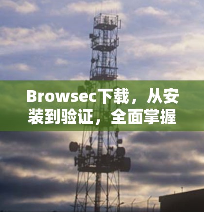 Browsec下载，从安装到验证，全面掌握该协议
