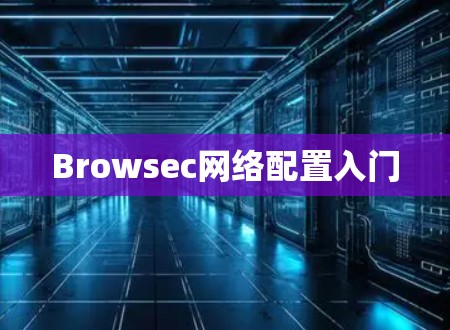 Browsec网络配置入门