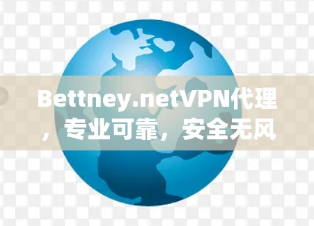 Bettney.netVPN代理，专业可靠，安全无风险