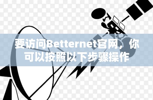 要访问Betternet官网，你可以按照以下步骤操作