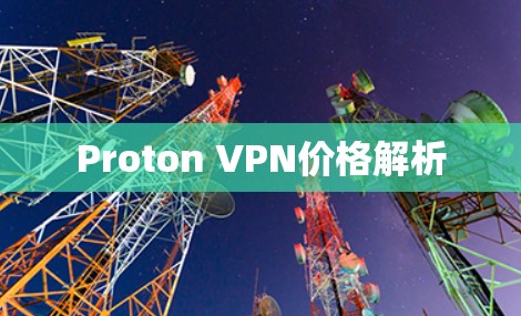 Proton VPN价格解析