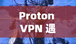 Proton VPN 遇到的问题及解决方案