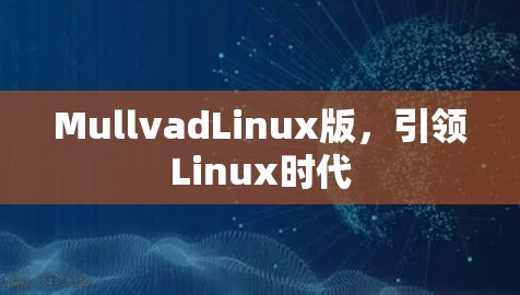 MullvadLinux版，引领Linux时代