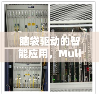 脑袋驱动的智能应用，MullvadAPK如何让AI更聪明