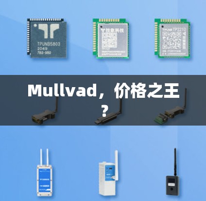 Mullvad，价格之王？