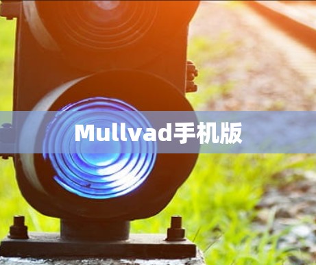 Mullvad手机版