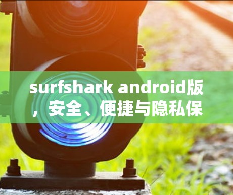 surfshark android版，安全、便捷与隐私保护的完美解决方案