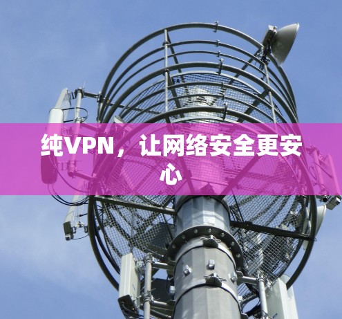 纯VPN,让网络安全更安心