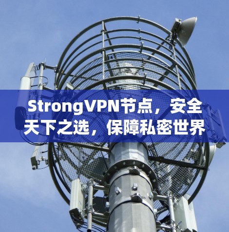 StrongVPN节点,安全天下之选,保障私密世界 StrongVPN节点,安全天下之选,保障私密世界