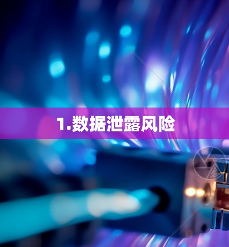 1.数据泄露风险