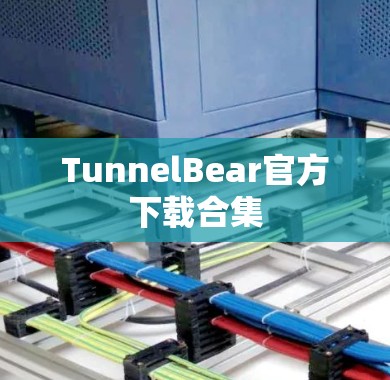TunnelBear官方下载合集 TunnelBear官方下载合集