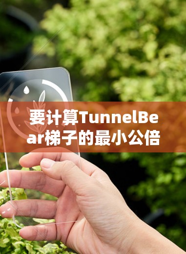要计算TunnelBear梯子的最小公倍数(LCM)按照以下步骤进行