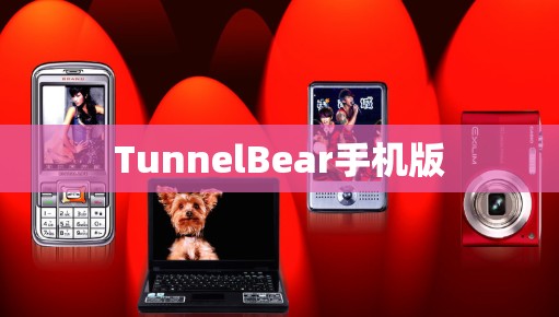 TunnelBear手机版