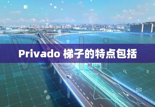 Privado 梯子的特点包括