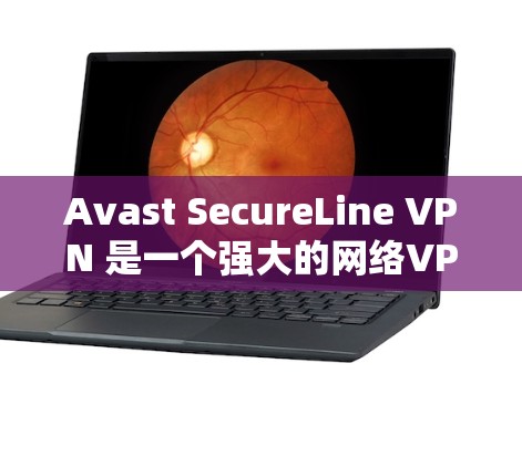 Avast SecureLine VPN 是一个强大的网络VPN工具,专为个人用户设计,旨在提供安全、高效和灵活的网络访问体验。以下是关于 Avast SecureLine VPN 的详细介绍 Avast SecureLine VPN 是一个强大的网络VPN工具,专为个人用户设计,旨在提供安全、高效和灵活的网络访问体验。以下是关于 Avast SecureLine VPN 的详细介绍