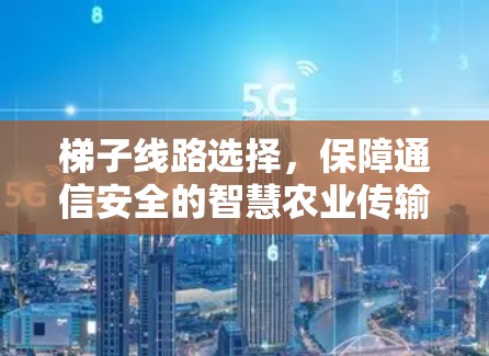 梯子线路选择，保障通信安全的智慧农业传输网络解决方案