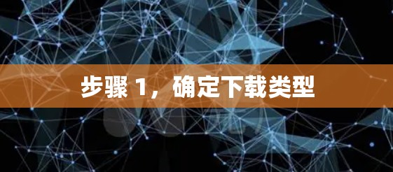 步骤 1,确定下载类型