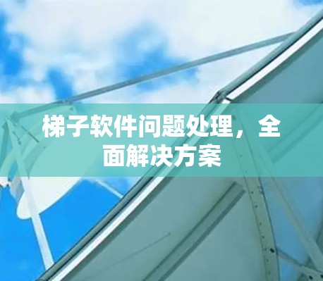 梯子软件问题处理,全面解决方案