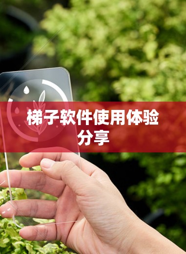梯子软件使用体验分享 梯子软件使用体验分享