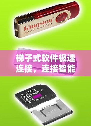 梯子式软件极速连接，连接智能设备的高效解决方案