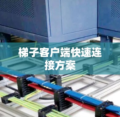 梯子客户端快速连接方案