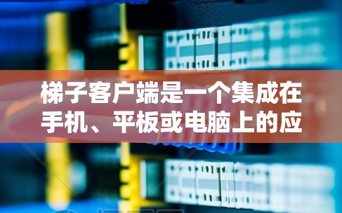 梯子客户端是一个集成在手机、平板或电脑上的应用程序，用于控制梯子式的设备，如梯子滑板车。以下是关于梯子客户端的详细内容