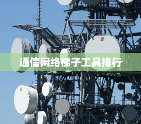 通信网络梯子工具排行