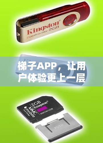 梯子APP,让用户体验更上一层楼