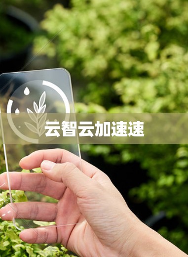 云智云加速速
