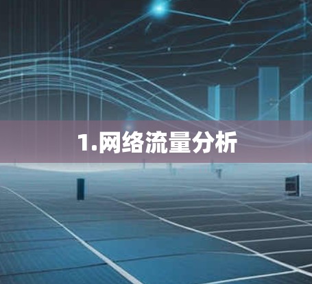 1.网络流量分析
