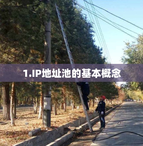 1.IP地址池的基本概念