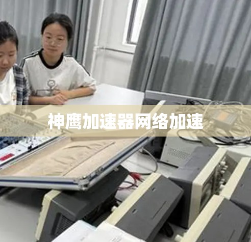 神鹰加速器网络加速 神鹰加速器网络加速