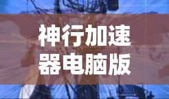 神行加速器电脑版是一种通过网络连接到云服务器运行的加速引擎，供玩家在电脑上加速特定游戏，如龙与地下城。以下是详细的解释