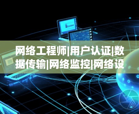 网络工程师|用户认证|数据传输|网络监控|网络设备维护