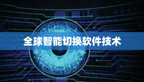 全球智能切换软件技术
