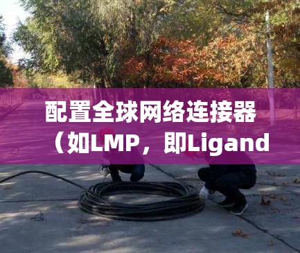 配置全球网络连接器(如LMP,即Ligand Matrix)属于网络设备的配置操作,具体方法取决于你使用的云服务或基础设施。以下是一些通用的配置步骤,适用于大多数云服务系统