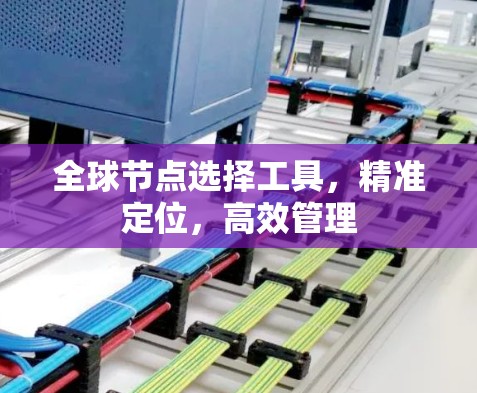 全球节点选择工具,精准定位,高效管理 全球节点选择工具,精准定位,高效管理
