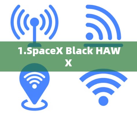 1.SpaceX Black HAWX 1.SpaceX Black HAWX
