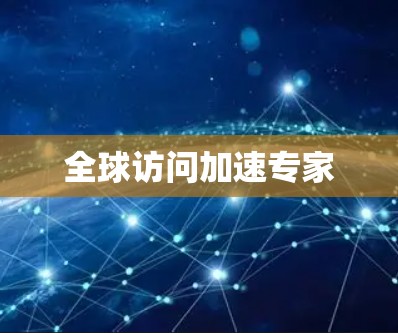 全球访问加速专家 全球访问加速专家