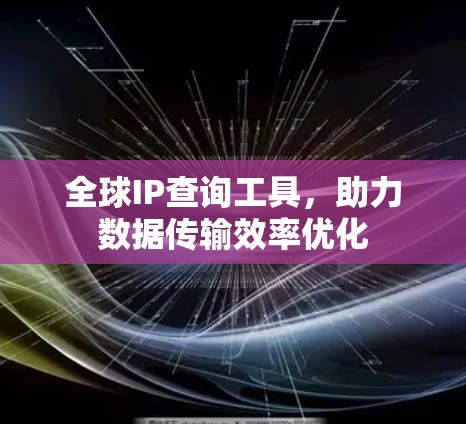 全球IP查询工具，助力数据传输效率优化