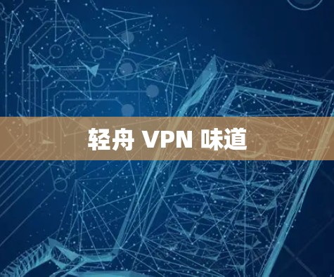 轻舟 VPN 味道