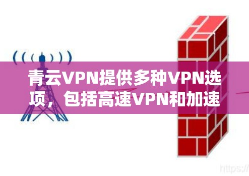 青云VPN提供多种VPN选项，包括高速VPN和加速器，帮助用户更高效地访问互联网。以下是关于如何访问青云VPN官网和下载高速VPN和加速器的具体步骤