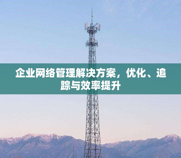 企业网络管理解决方案，优化、追踪与效率提升